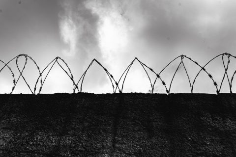 We are outraged by the disregard for the memory of those murdered and survivors of the genocide in Gaza and the Holocaust, as well as the violation of the rule of law by Polish authorities