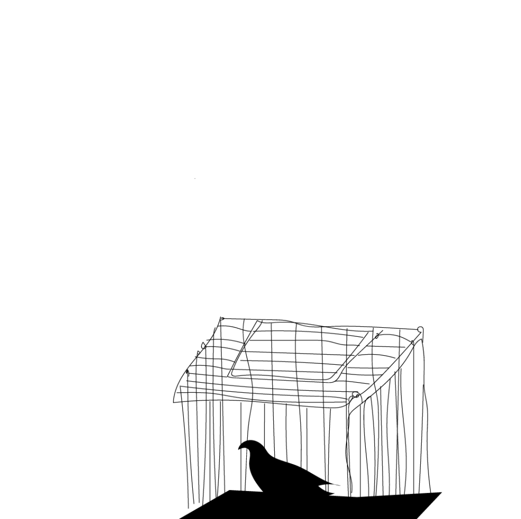 A monochrome illustration of a bird sitting in a cage, showcasing the delicate lines of the bird and the cage structure.