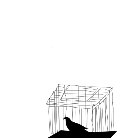 A monochrome illustration of a bird sitting in a cage, showcasing the delicate lines of the bird and the cage structure.