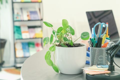 PRACA W&nbsp;NOMADZIE. POSZUKUJEMY OSOBY DO&nbsp;OBSŁUGI RECEPCJI (FRONT DESK)
