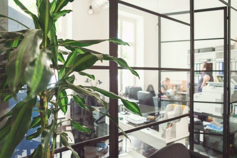 PRACA W&nbsp;NOMADZIE. POSZUKUJEMY OSOBY CASEWORKERSKIEJ do&nbsp;wsparcia osób doświadczających przemocy motywowanej uprzedzeniami (PMU)